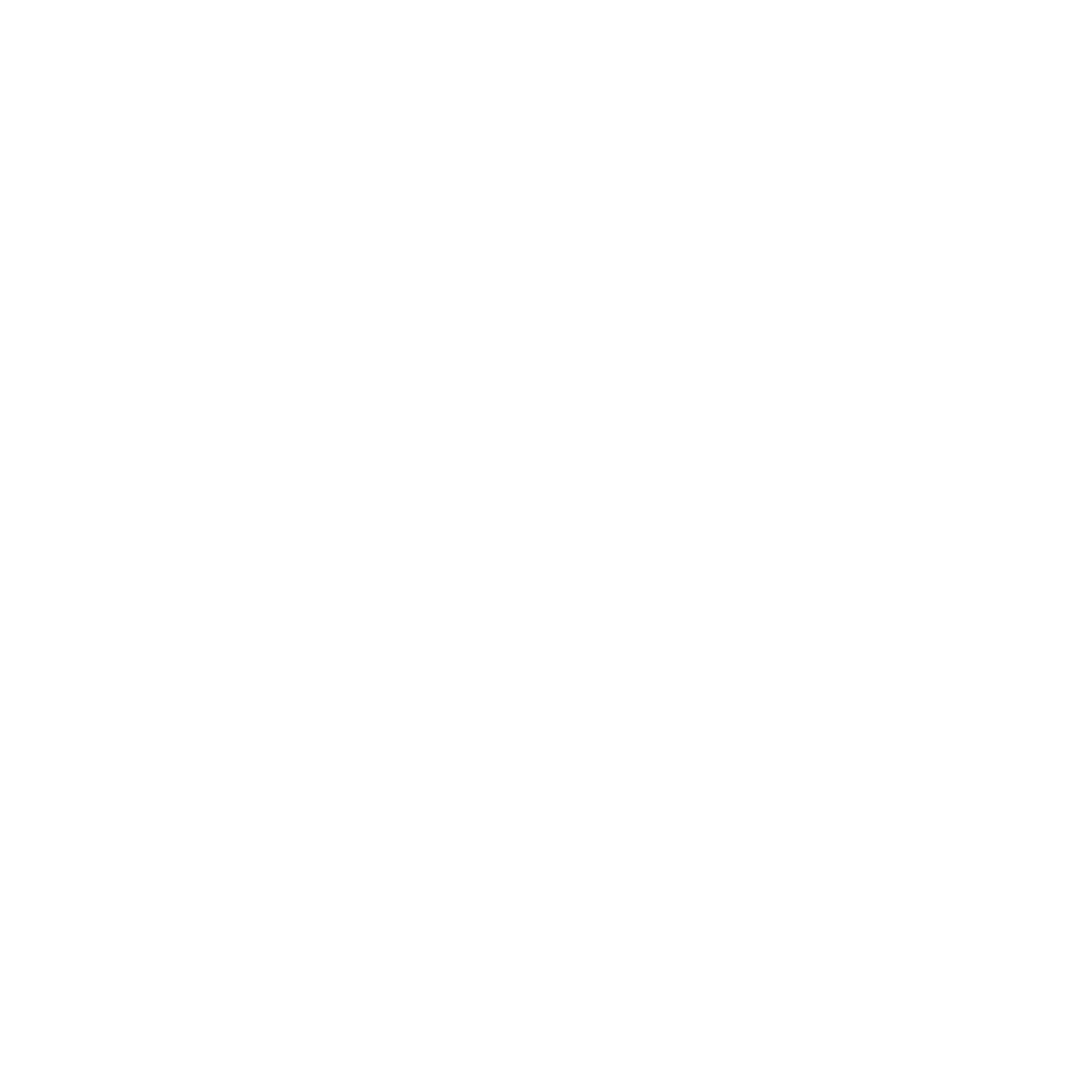 logo_ks_w