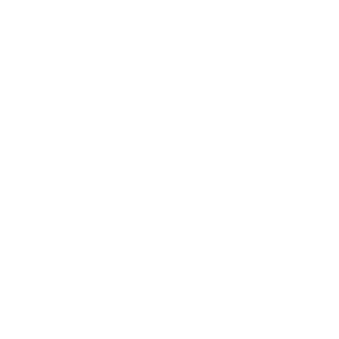 logo_kn_w